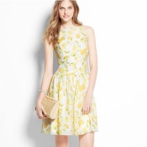 Ann Taylor Lemon Dress